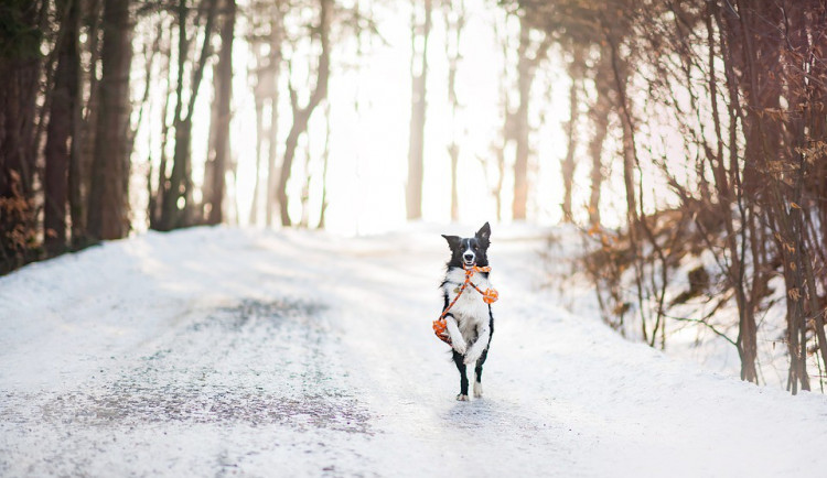 POČASÍ NA SOBOTU: Teploty jen lehce nad nulou, ojediněle se můžou objevit přeháňky