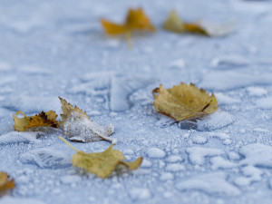 POČASÍ NA ÚTERÝ: Přes mrznoucí mlhy vykoukne sluníčko