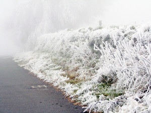 POČASÍ NA STŘEDU: Teploty kolem nuly, ráno a dopoledne se místy vyskytnou mrznoucí mlhy