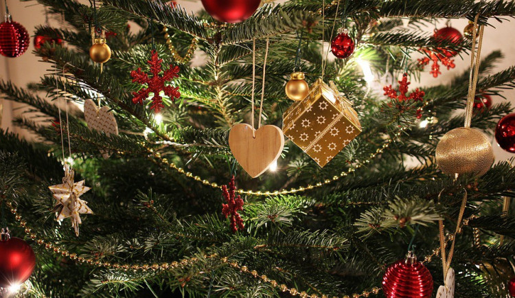 ilustrační fotografie