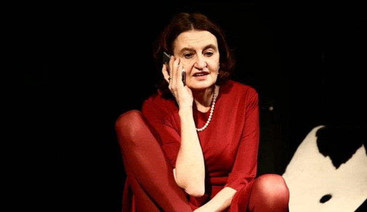 Rok 2018 ve jménu hvězd. Olomouc navštíví Maciuchová, Holubová, Poullain a mnoho dalších