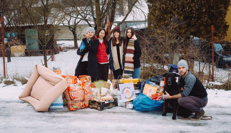 Olomoucká sbírka Šťastné a chlupaté udělala pejskům krásné Vánoce. Do útulku putovala hromada dárků