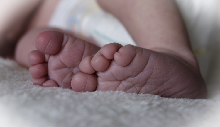 ilustrační fotografie