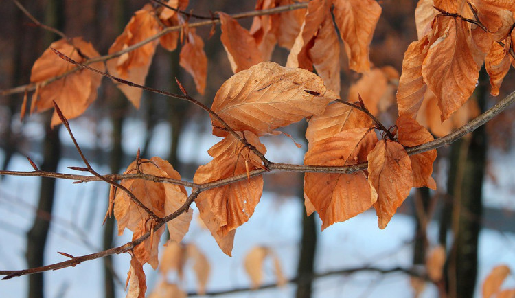 POČASÍ NA ÚTERÝ: Vysoké teploty, odpoledne a k večeru může pršet