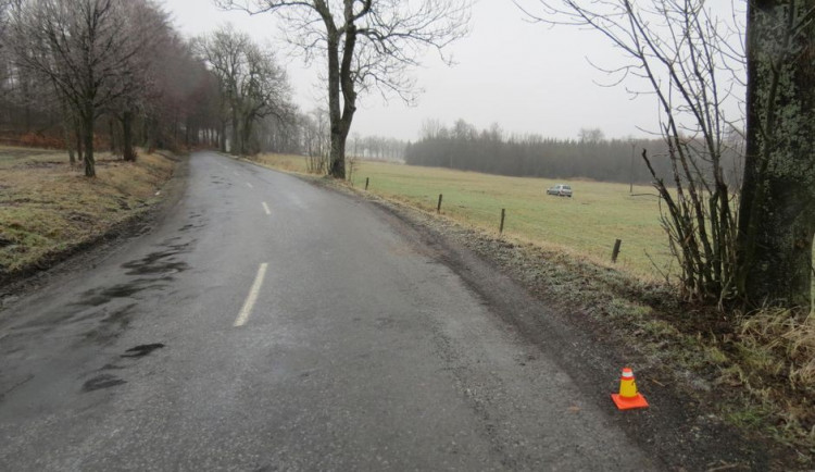 Řidička se svým autem vyletěla ze zatáčky, prorazila ohradník a skončila na pastvině