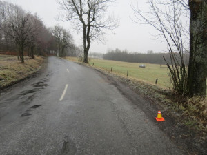 Řidička se svým autem vyletěla ze zatáčky, prorazila ohradník a skončila na pastvině