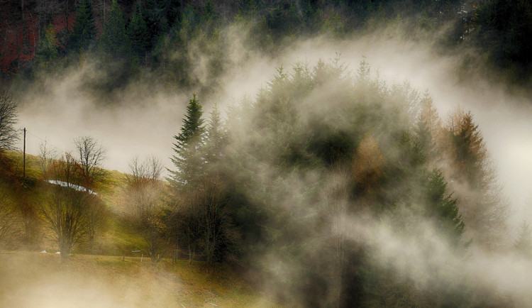 POČASÍ NA NEDĚLI: Čekejme teploty jen kolem nuly, ráno se můžou vyskytnout mrznoucí mlhy