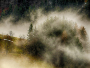 POČASÍ NA NEDĚLI: Čekejme teploty jen kolem nuly, ráno se můžou vyskytnout mrznoucí mlhy