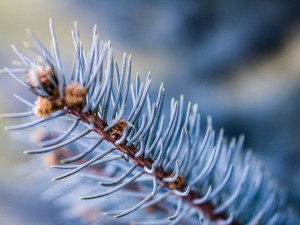POČASÍ NA PONDĚLÍ: Teploty pod nulou, na horách bude silně foukat