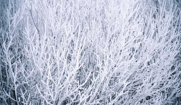 POČASÍ NA PÁTEK: Silný vítr a sněžení. Před tím varují meteorologové