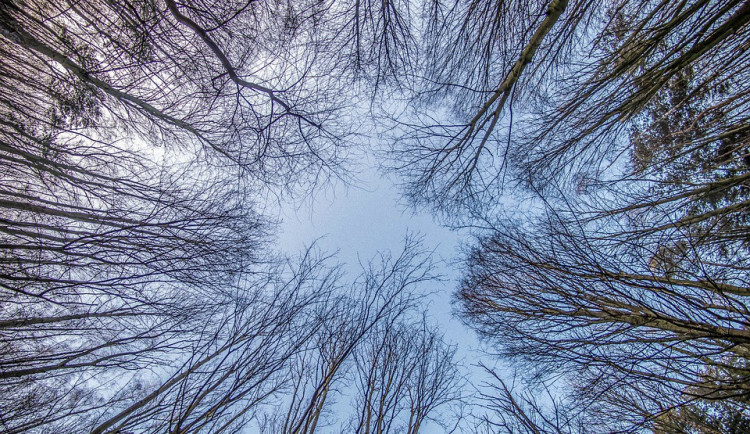 POČASÍ NA SOBOTU: Čekáme místy polojasno, ale někde i sněžení
