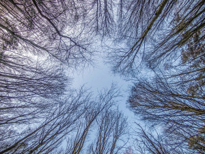 POČASÍ NA SOBOTU: Čekáme místy polojasno, ale někde i sněžení