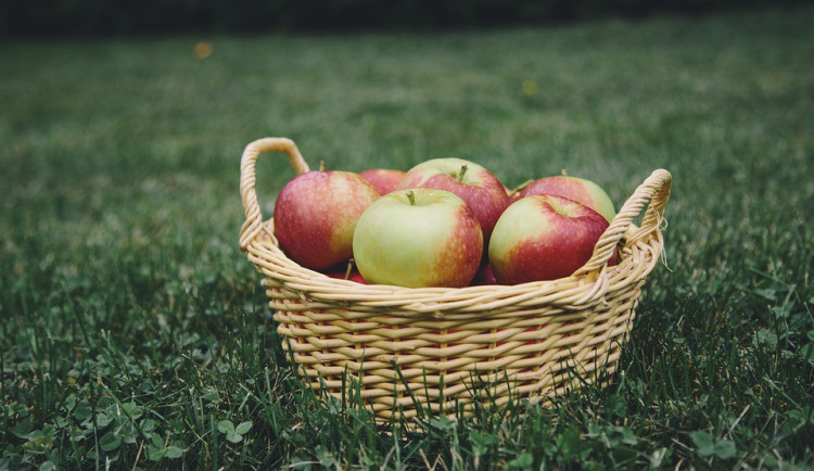 Makro ukončilo spolupráci s farmářem, který dodával jablka s pesticidy