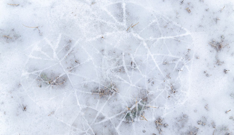 ilustrační fotografie