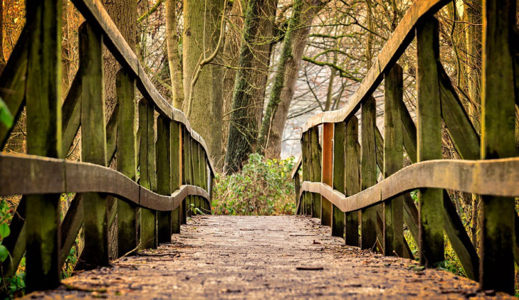 Následující čtyři týdny budou teplotně nadprůměrné
