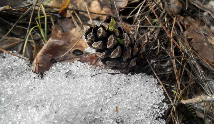POČASÍ NA PONDĚLÍ: Teploty se přehoupnou přes deset stupňů