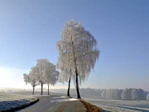 POČASÍ NA ÚTERÝ: Polojasná obloha a teploty stále vysoké