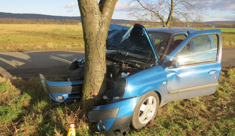 Padesátiletá řidička se chtěla vyhnout srně a čelně narazila do stromu