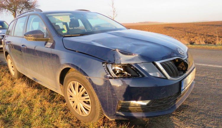 Řidič srazil v koloně aut srnce přebíhajícího silnici. Zvíře kolizi nepřežilo