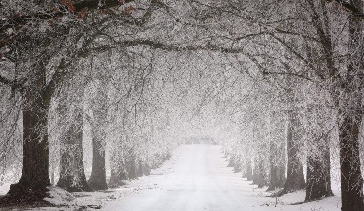 POČASÍ NA NEDĚLI: Meteorologové předpovídají zataženo a sněhové přeháňky