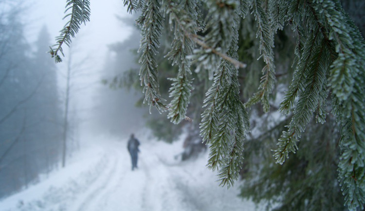 ilustrační fotografie