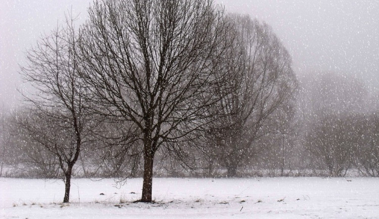 POČASÍ NA ÚTERÝ: Občasné sněžení a teploty nad nulou