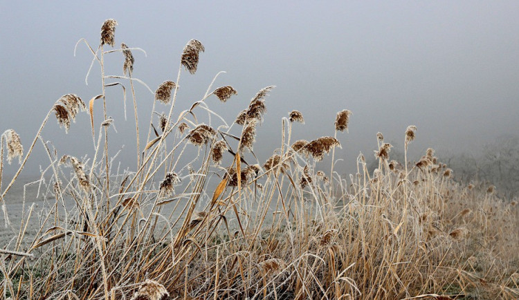 POČASÍ NA ÚTERÝ: Přes den bude oblačno, ráno se můžou vyskytnout mrznoucí mlhy
