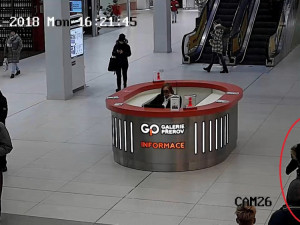 VIDEO: Policie hledá tuto ženu, může pomoci objasnit případ krádeže peněženky