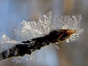 POČASÍ NA SOBOTU: Místy bude sněžit a celý den čekáme mráz
