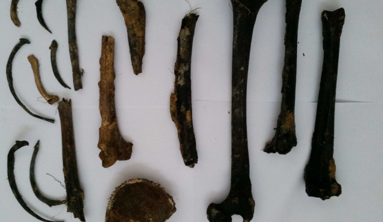 FOTO: Lidské kosti vyplavaly při havárii vody na Nové Ulici v Olomouci