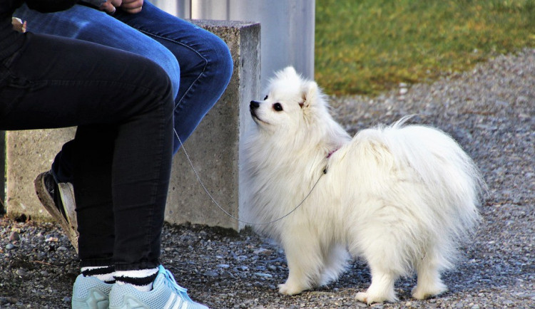 ilustrační fotografie