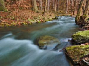 V prostějovském biokoridoru Hloučela přibývá černých skládek, město uvažuje o pořízení fotopastí