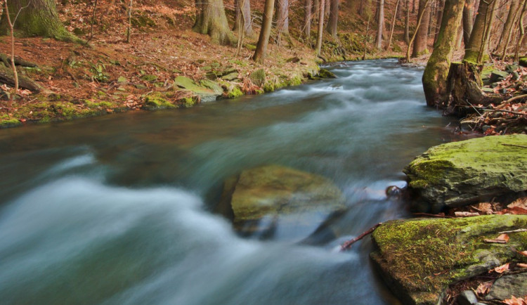 V prostějovském biokoridoru Hloučela přibývá černých skládek, město uvažuje o pořízení fotopastí