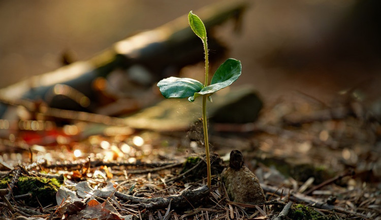 POČASÍ NA SOBOTU: Teploty kolem desítky, dopoledne může slabě zapršet