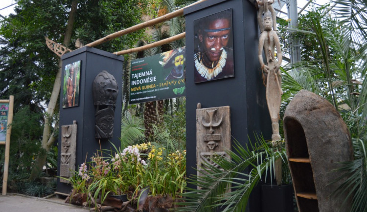 Palmový skleník na Floře na konci března nabídne unikátní výstavu Tajemné Indonésie