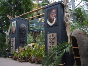 Palmový skleník na Floře na konci března nabídne unikátní výstavu Tajemné Indonésie