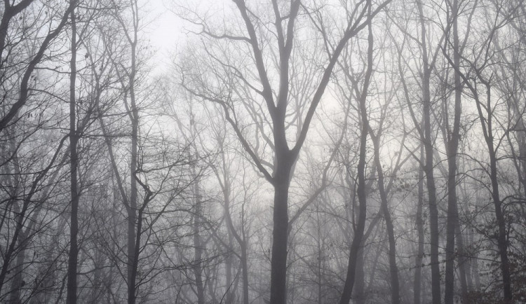 POČASÍ NA STŘEDU: Čekáme přeháňky a teploty na osmičce