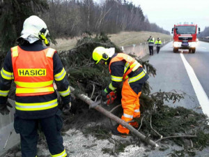 VIDEO: Hasiči za víkend řešili přes tři sta událostí v souvislosti se silným větrem