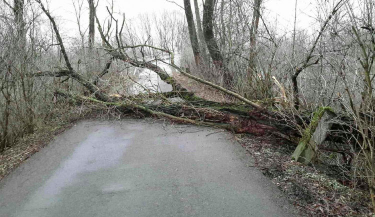 V kraji byla vydána výstraha na silný vítr, hasiči už vyjíždí k prvním událostem. V Jívové spadl sloup