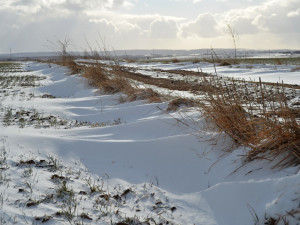 POČASÍ NA NEDĚLI: Čekáme oblačno a přeháňky