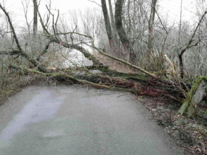 V kraji byla vydána výstraha na silný vítr, hasiči už vyjíždí k prvním událostem. V Jívové spadl sloup