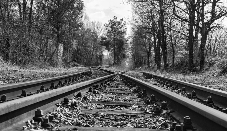 ilustrační fotografie