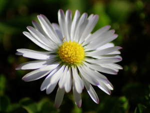 POČASÍ NA STŘEDU: Čekáme polojasno a až dvacet stupňů