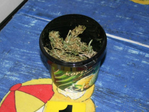 Policisté našli u muže sedmnáct gramů marihuany, hrozí mu pět let vězení