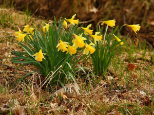 POČASÍ NA SOBOTU: Ideální start víkendu. Osmnáct stupňů a jasno