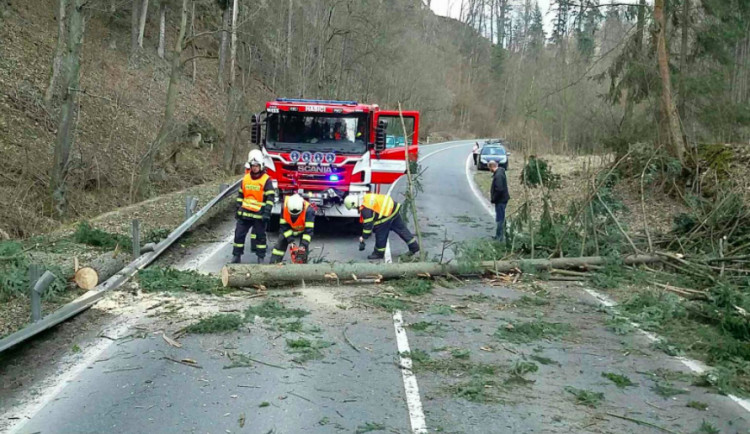 Silný vítr opět zaměstnává hasiče, většinou jde o spadané stromy