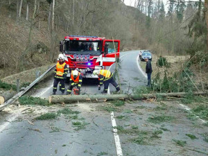 Silný vítr opět zaměstnává hasiče, většinou jde o spadané stromy