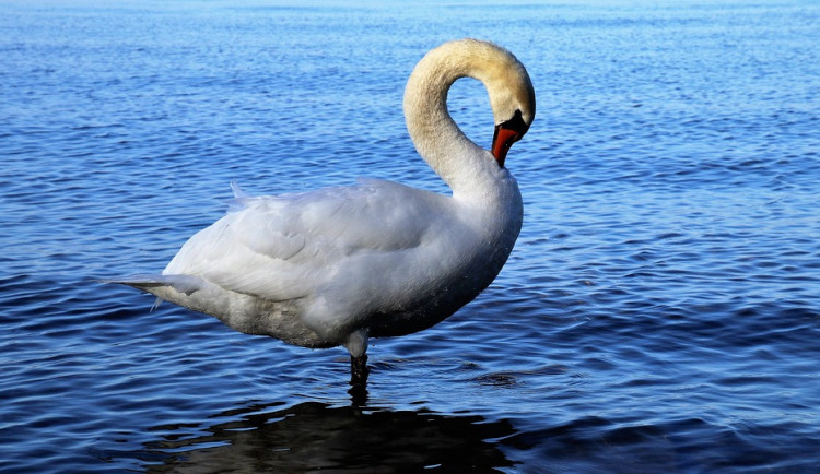 POČASÍ NA STŘEDU: Teploty přes dvacítku, odpoledne může zapršet
