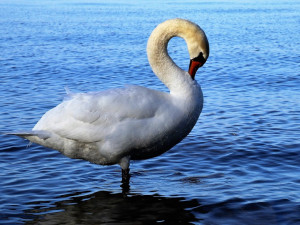 POČASÍ NA STŘEDU: Teploty přes dvacítku, odpoledne může zapršet