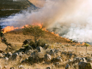 Vypalování staré trávy způsobilo v posledních dnech téměř dvacet požárů